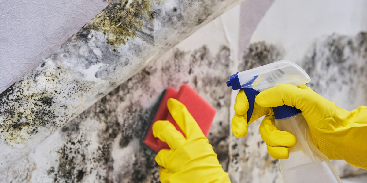 Bleach Safety Tips