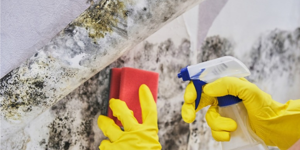 How does hydrogen peroxide kill mold How does hydrogen peroxide kill mold?